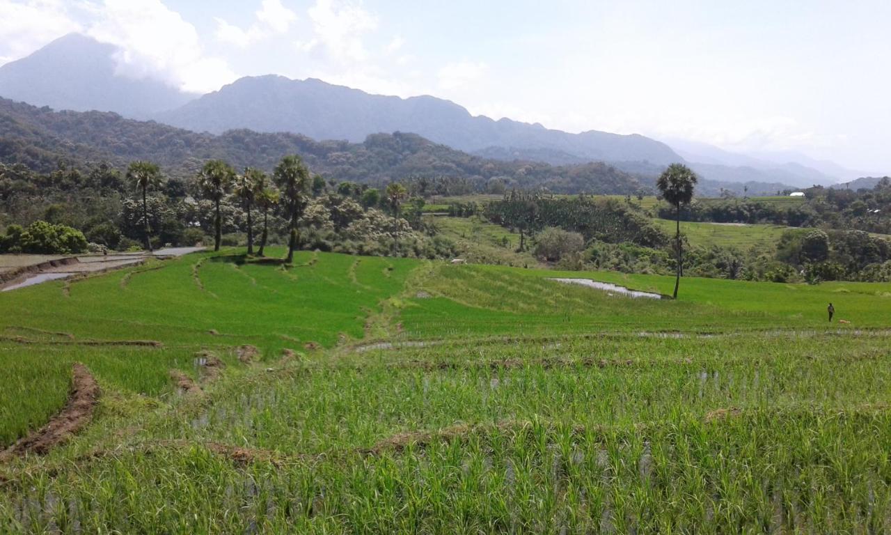 Kristian Homestay Bajawa Экстерьер фото
